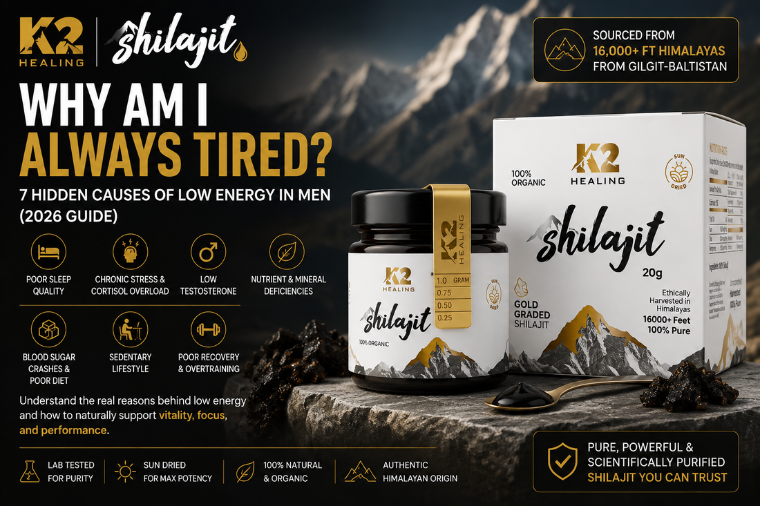 Why Am I Always Tired? 7 Hidden Causes of Low Energy in Men (2026 Guide) K2 Shilajit - World's Finest Shilajit