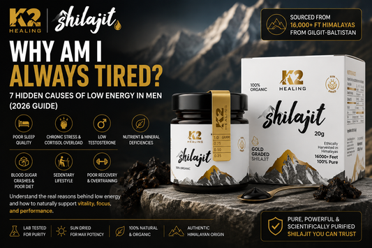 Why Am I Always Tired? 7 Hidden Causes of Low Energy in Men (2026 Guide) K2 Shilajit - World's Finest Shilajit