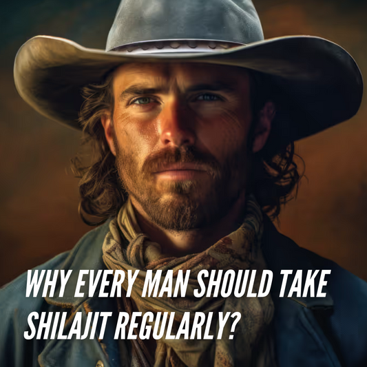 Why Every Man Should Take Shilajit