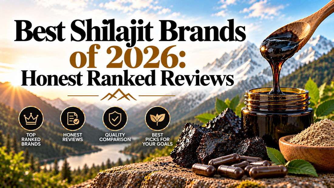 Best Shilajit Brands of 2026: Honest Ranked Reviews