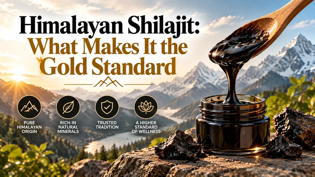 Himalayan Shilajit: What Makes It the Gold Standard