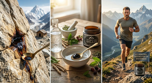 K2 Healing Shilajit: A Clinical Dossier – Decoding the Phyto-complex from Ancient Rasayana to Modern Scrutiny K2 Shilajit - World's Finest Shilajit