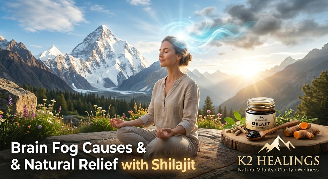 Brain Fog Causes & Natural Relief with Shilajit