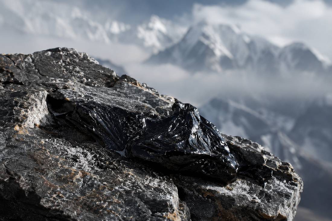 Where to Buy Organic Shilajit in America | 2026 Buying Guide