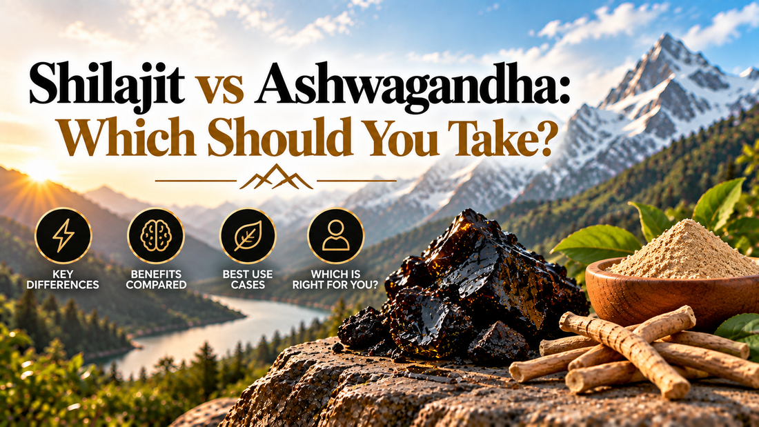 Shilajit vs Ashwagandha: Which Should You Take in 2026?