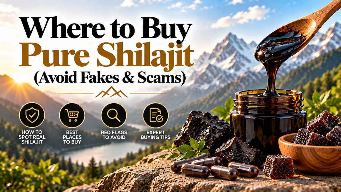 Where to Buy Pure Shilajit (Avoid Fakes & Scams)
